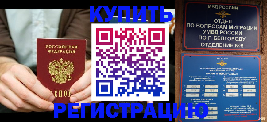 прописка 2025 в Ногинске